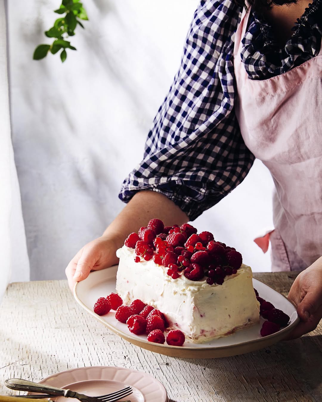 Raspberry Ripple Cake